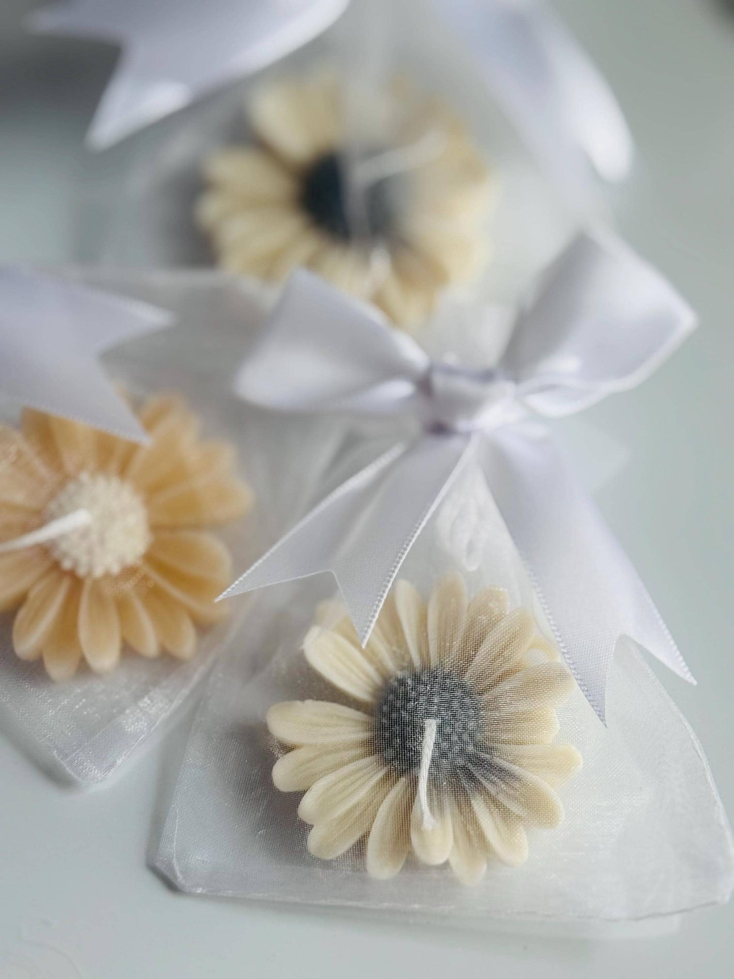 Daisy Flower Candle Favors Mixed Colors