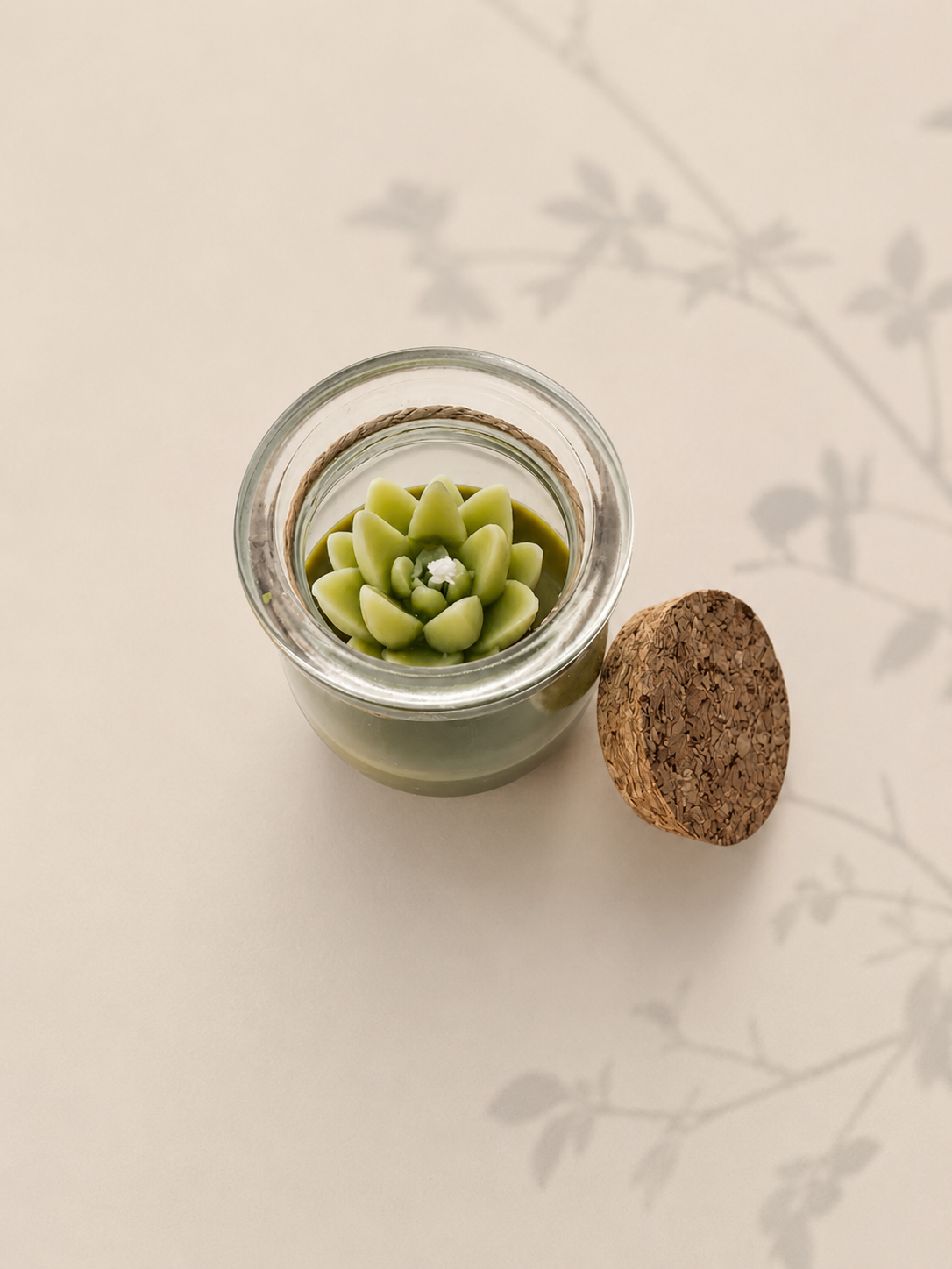 Succulent Candle in Glass Jar